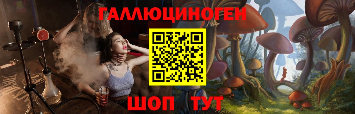 Галлюциногенные грибы ЛСД  Псилоцибиновые грибы MAGIC MUSHROOMS  Вход с VPN  Новокубанск 
